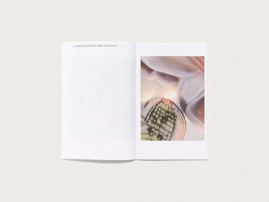 A Memory is a delay as a Memory - Antenne Books