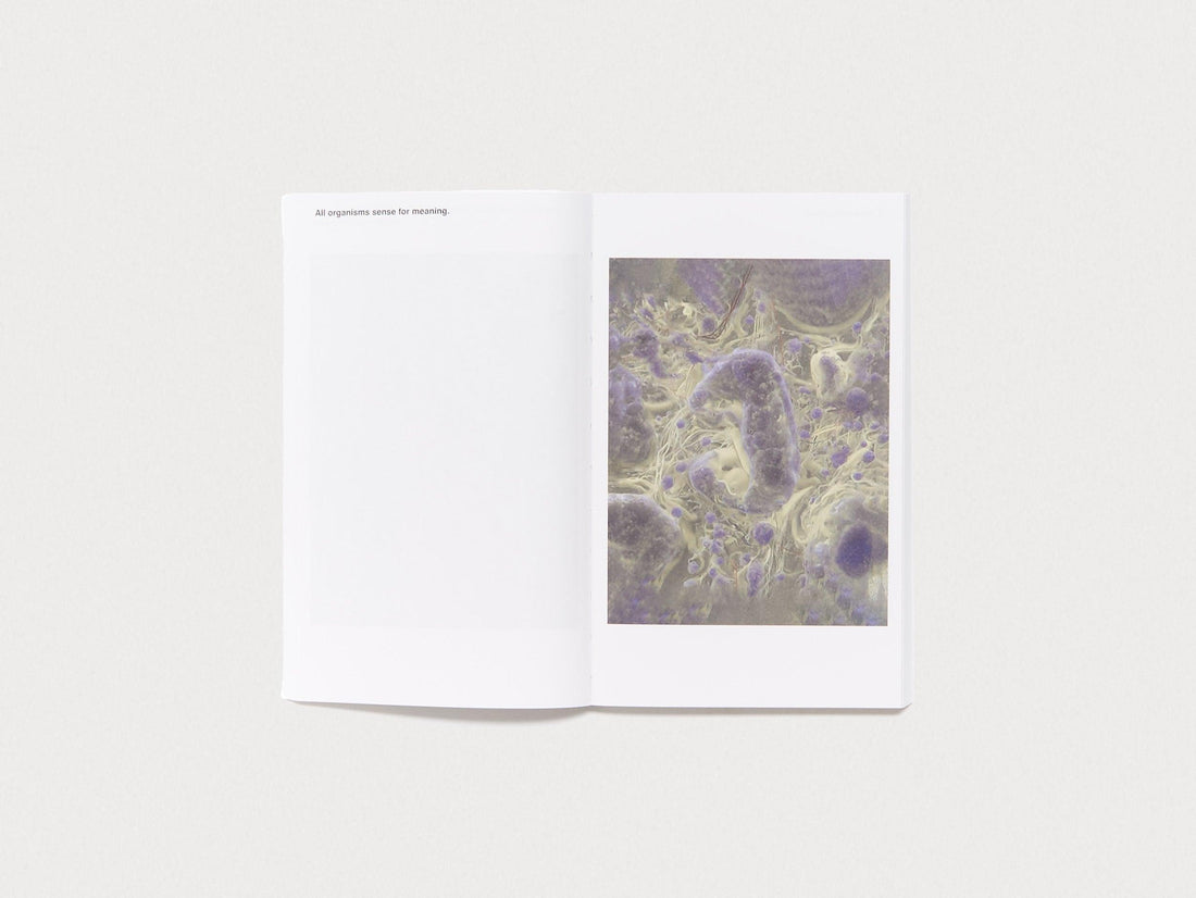 A Memory is a delay as a Memory - Antenne Books