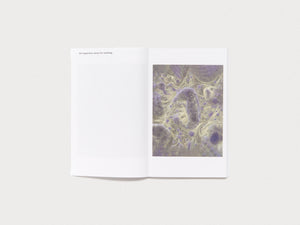 A Memory is a delay as a Memory - Antenne Books