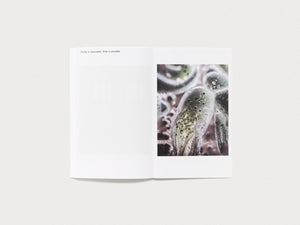 A Memory is a delay as a Memory - Antenne Books