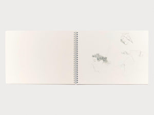 Paul Thek: Sketchbook - Antenne Books