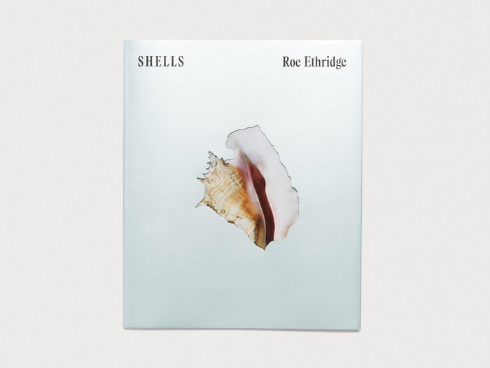 SHELLS - Antenne Books