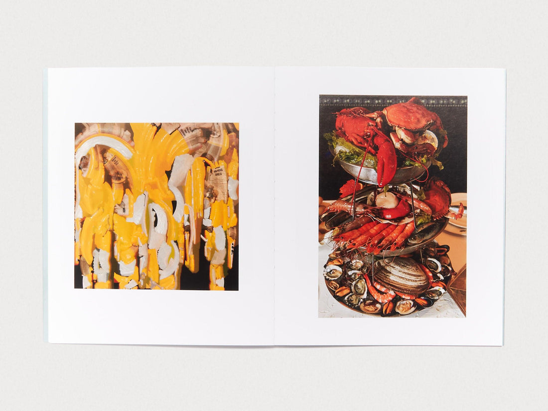 SHELLS - Antenne Books