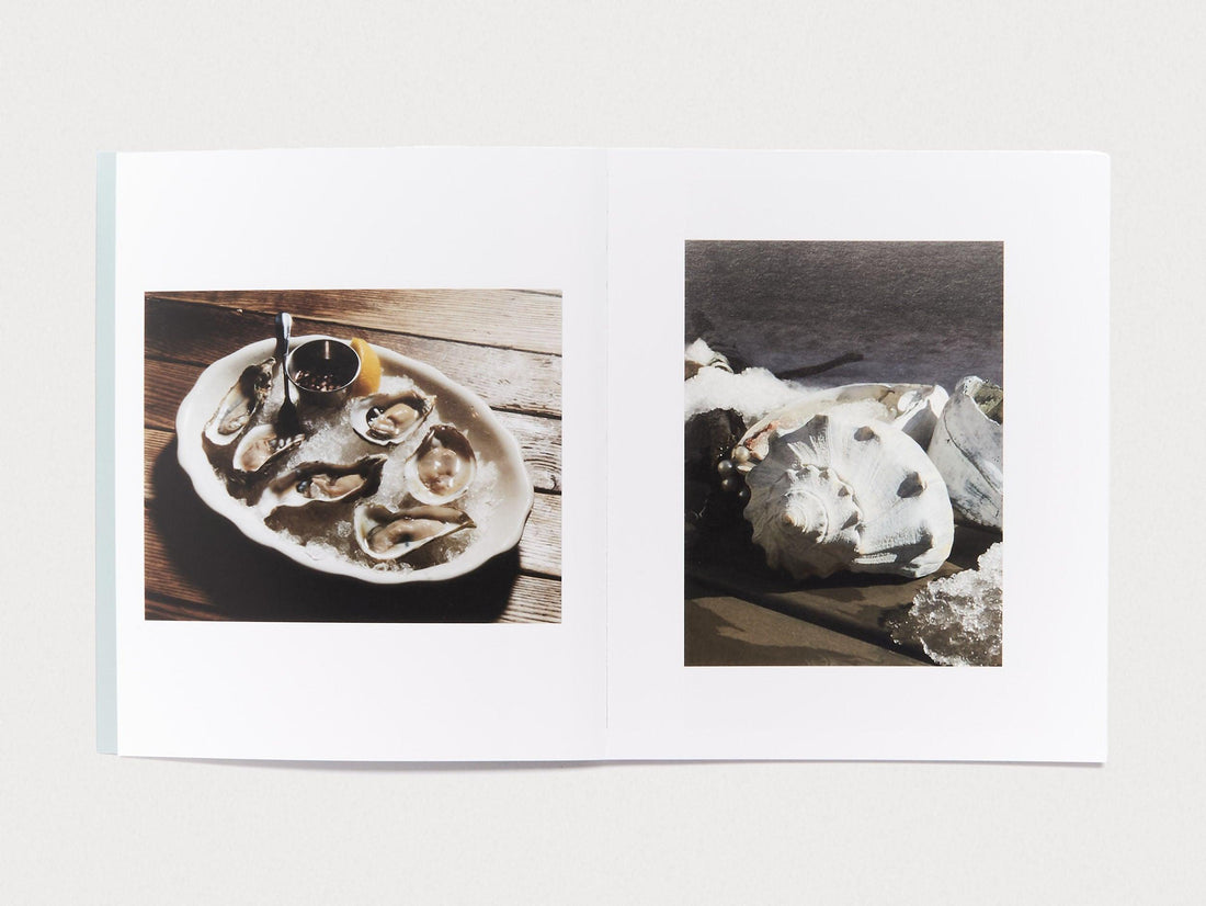 SHELLS - Antenne Books