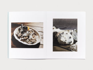 SHELLS - Antenne Books