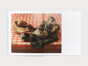 SHELLS - Antenne Books