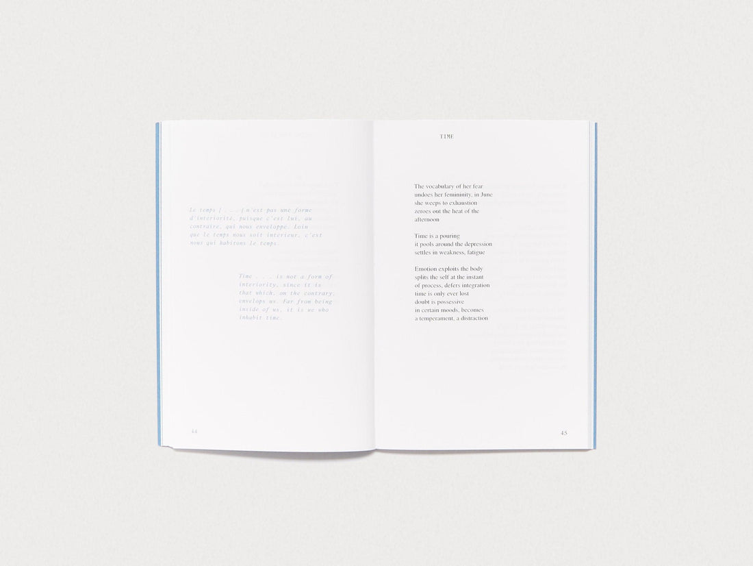 A Catalogue of Risk - Antenne Books