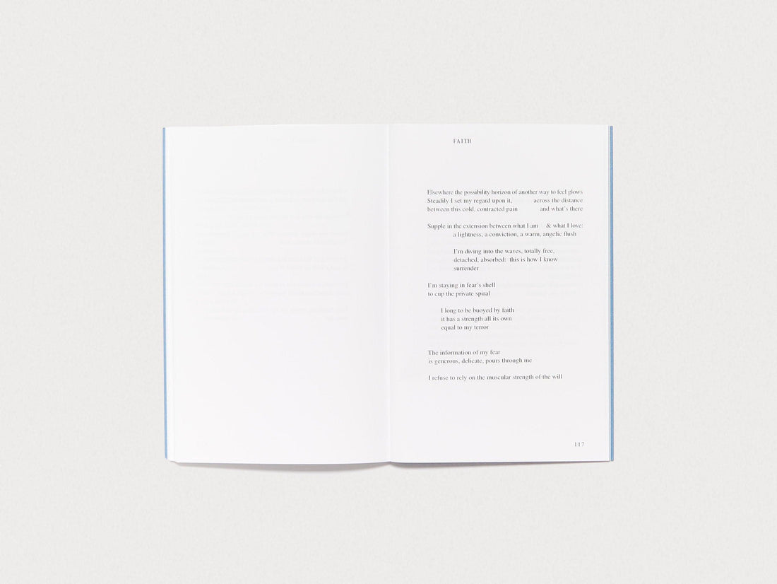 A Catalogue of Risk - Antenne Books