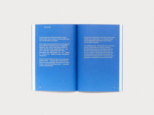 A Catalogue of Risk - Antenne Books