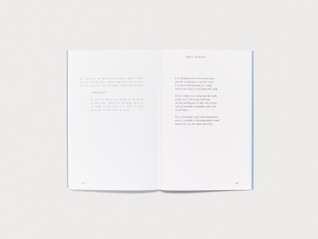 A Catalogue of Risk - Antenne Books