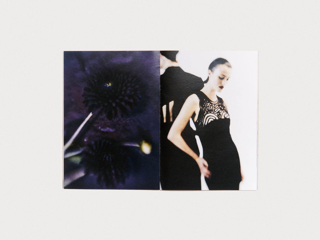 RADIAL BLUR - Antenne Books