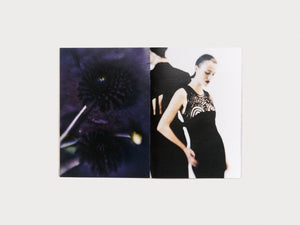 RADIAL BLUR - Antenne Books