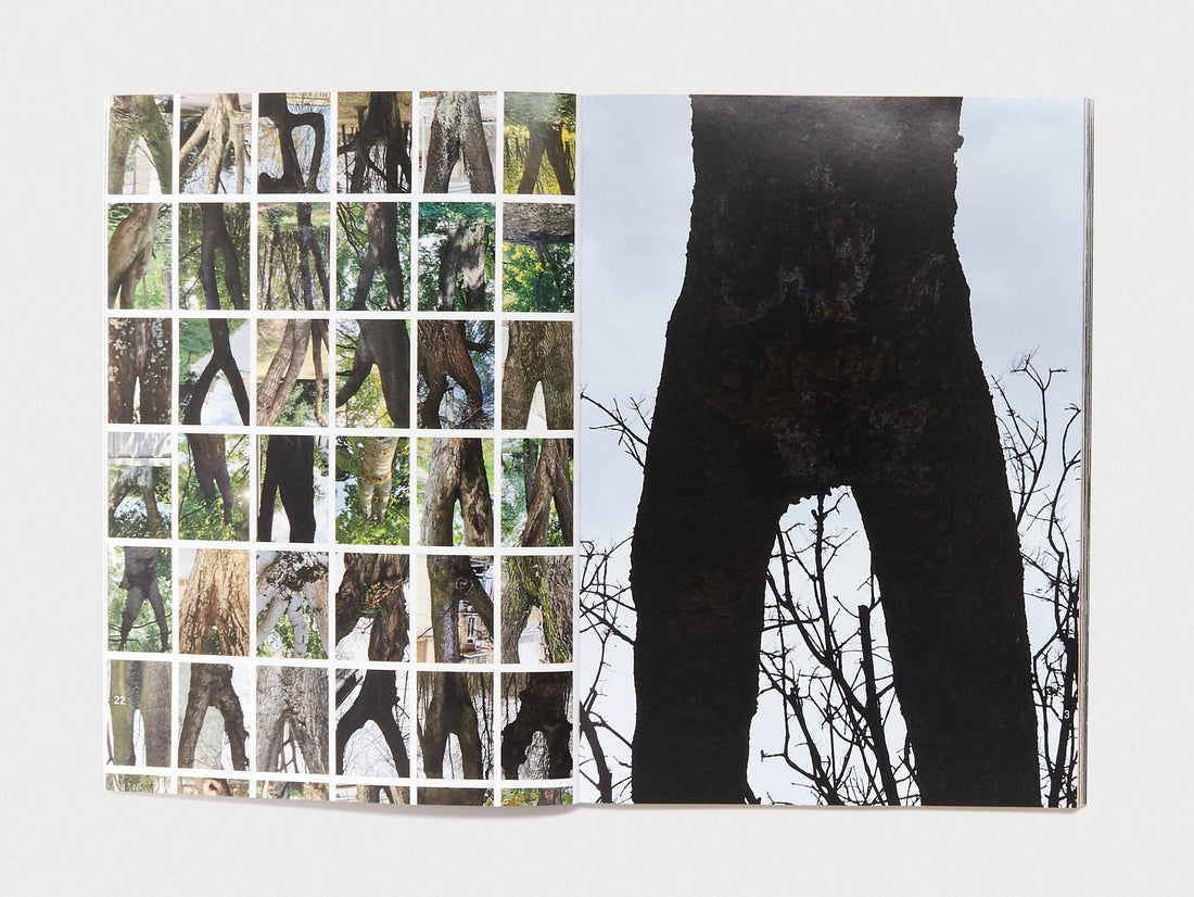 Hrishnytsia Issue 4 - Antenne Books