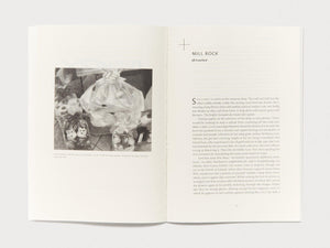n+1 Magazine Issue 49: RERUN - Antenne Books