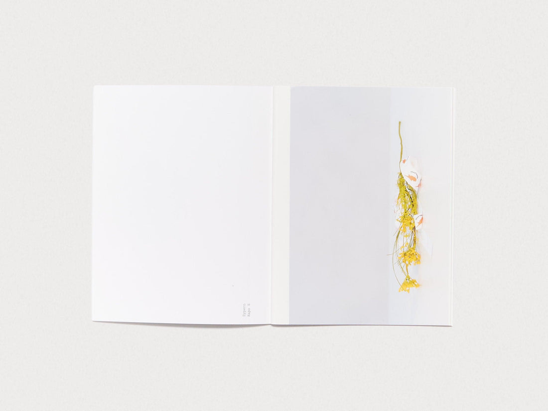 FLEUROP - Antenne Books