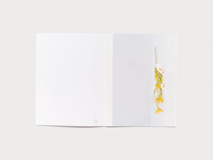 FLEUROP - Antenne Books