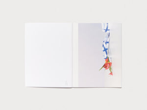 FLEUROP - Antenne Books