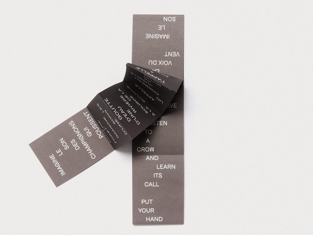 Call To A Crow - Appelle Un Corbeau - Antenne Books