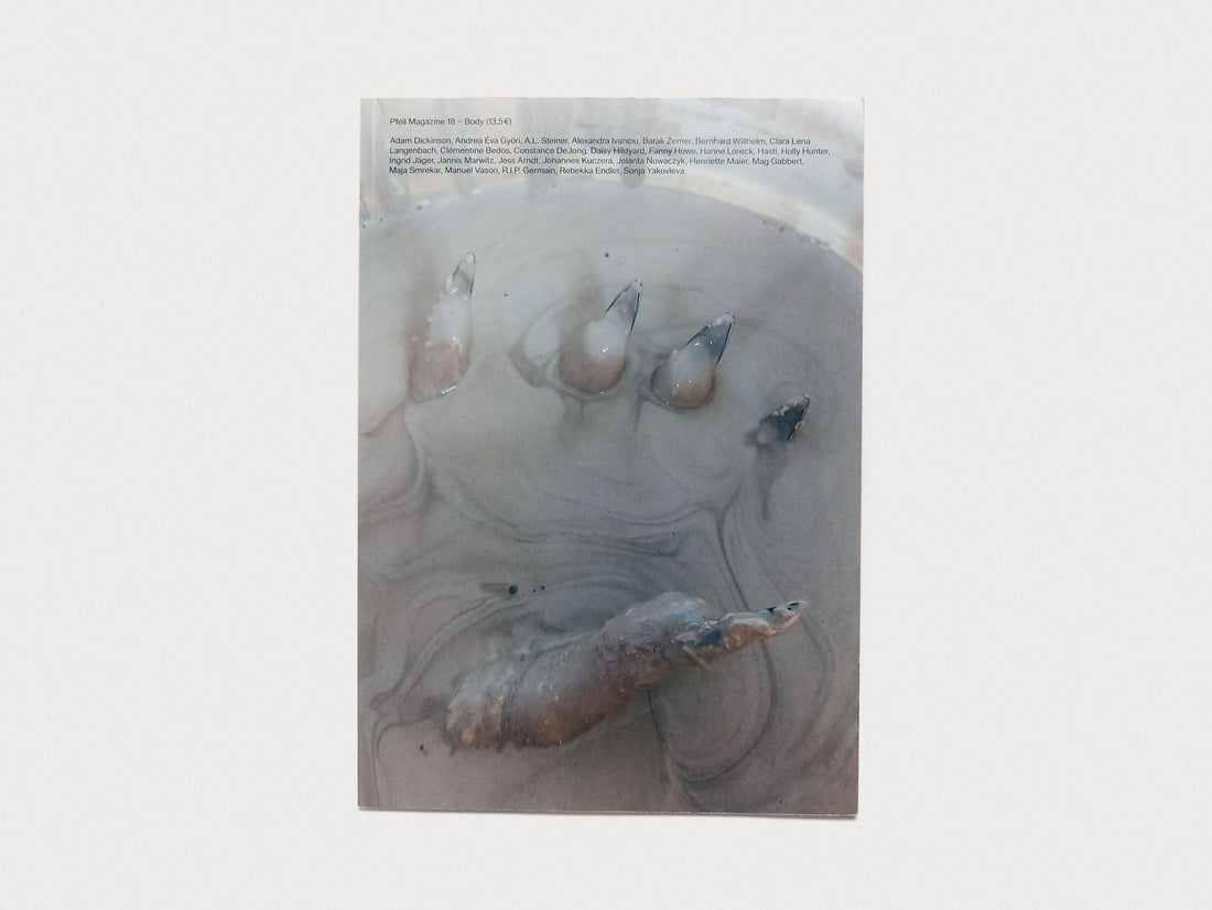 PFEIL #18 - BODY - Antenne Books