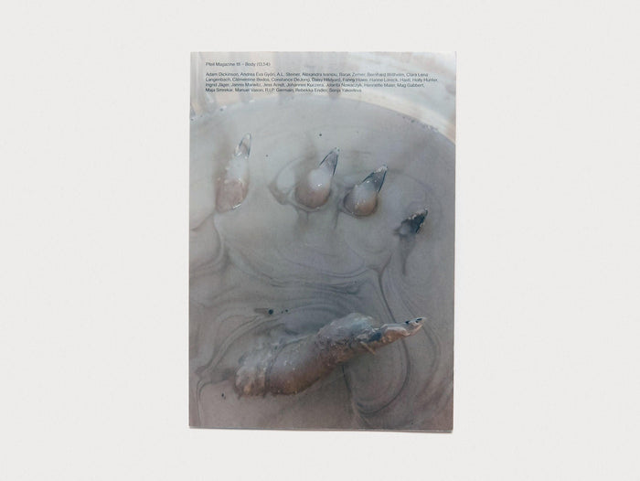 PFEIL #18 - BODY - Antenne Books