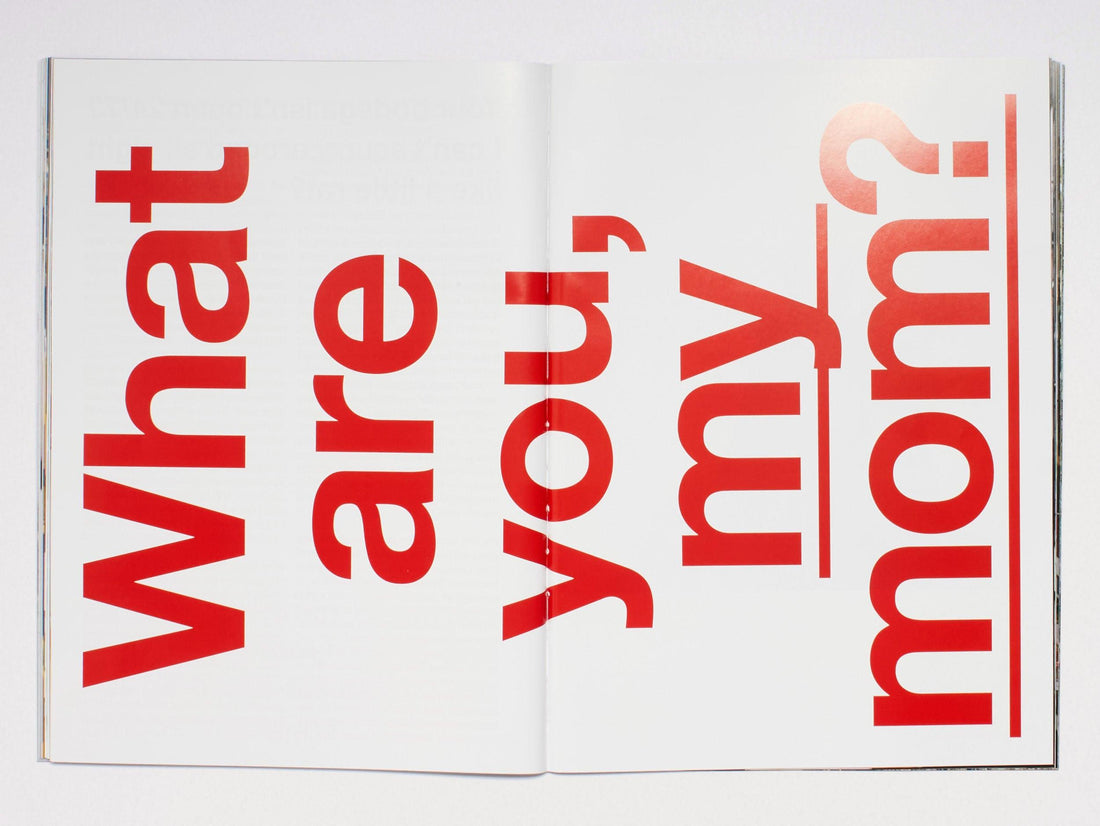 Picnic Magazine Issue 5: The Big Apple - Antenne Books