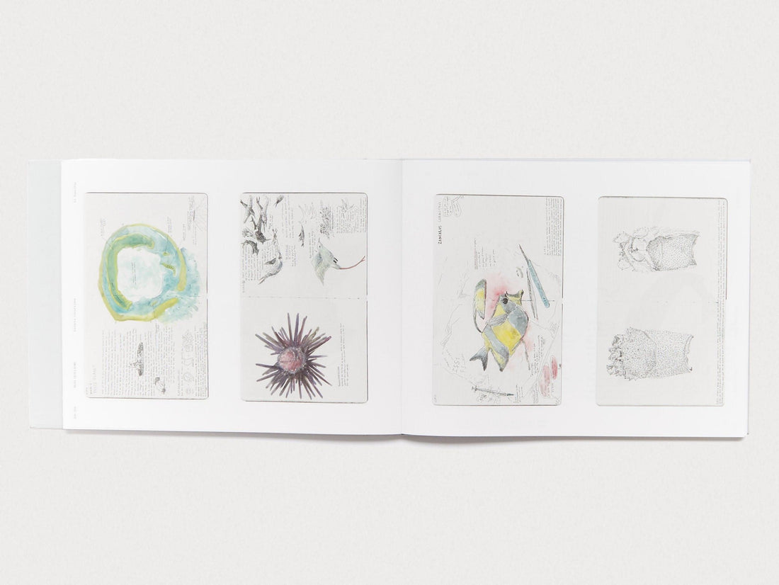 TARA, LES ARTISTES RÉVÈLENT L'OCÉAN - Antenne Books