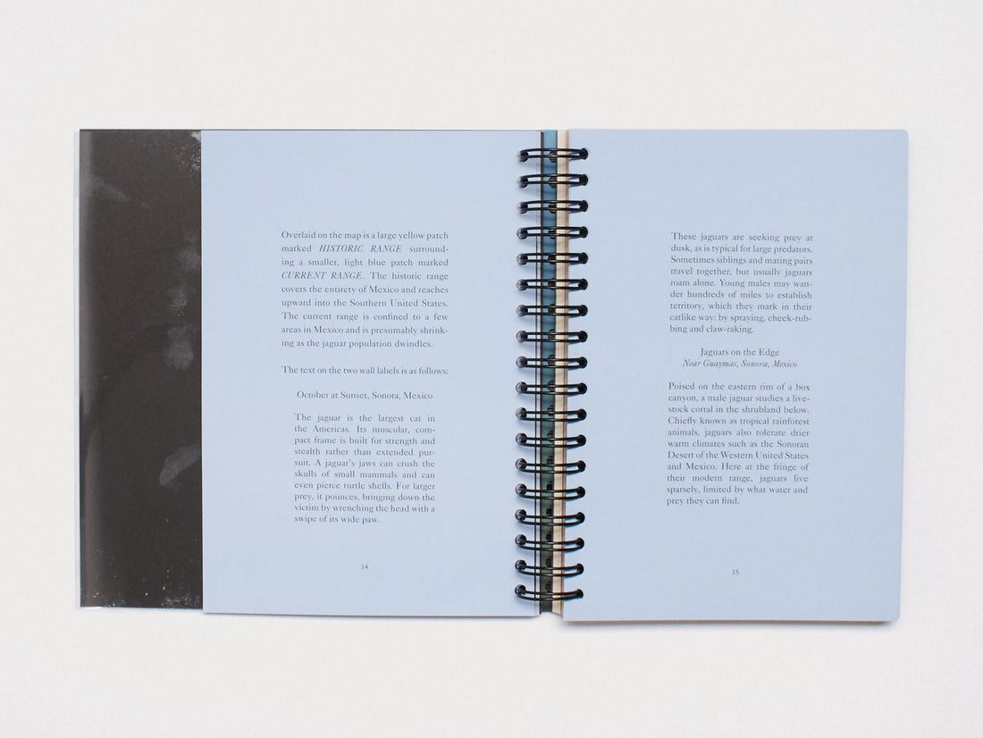 Jaguar Group - Antenne Books