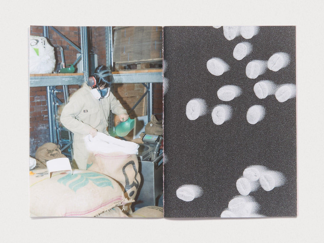 DIAL IN MAGAZINE Issue # 1 - Star of the North - Antenne Books