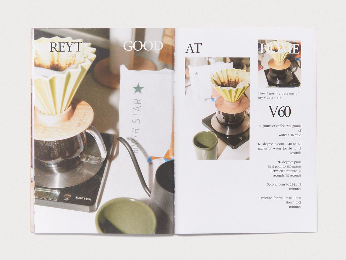 DIAL IN MAGAZINE Issue # 1 - Star of the North - Antenne Books