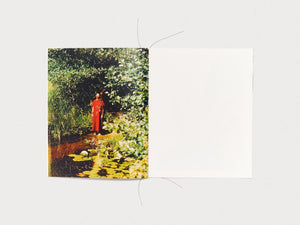 RAYS: Wanu Yawanawa - Antenne Books