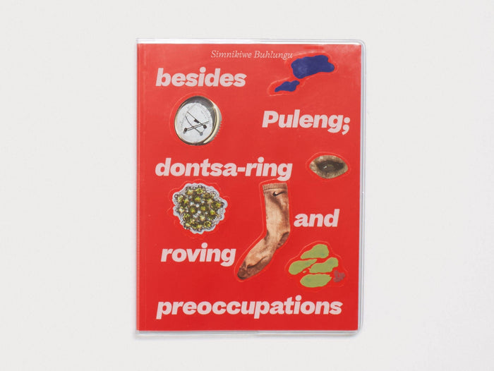 besides Puleng; dontsa-ring and roving preoccupations - Antenne Books