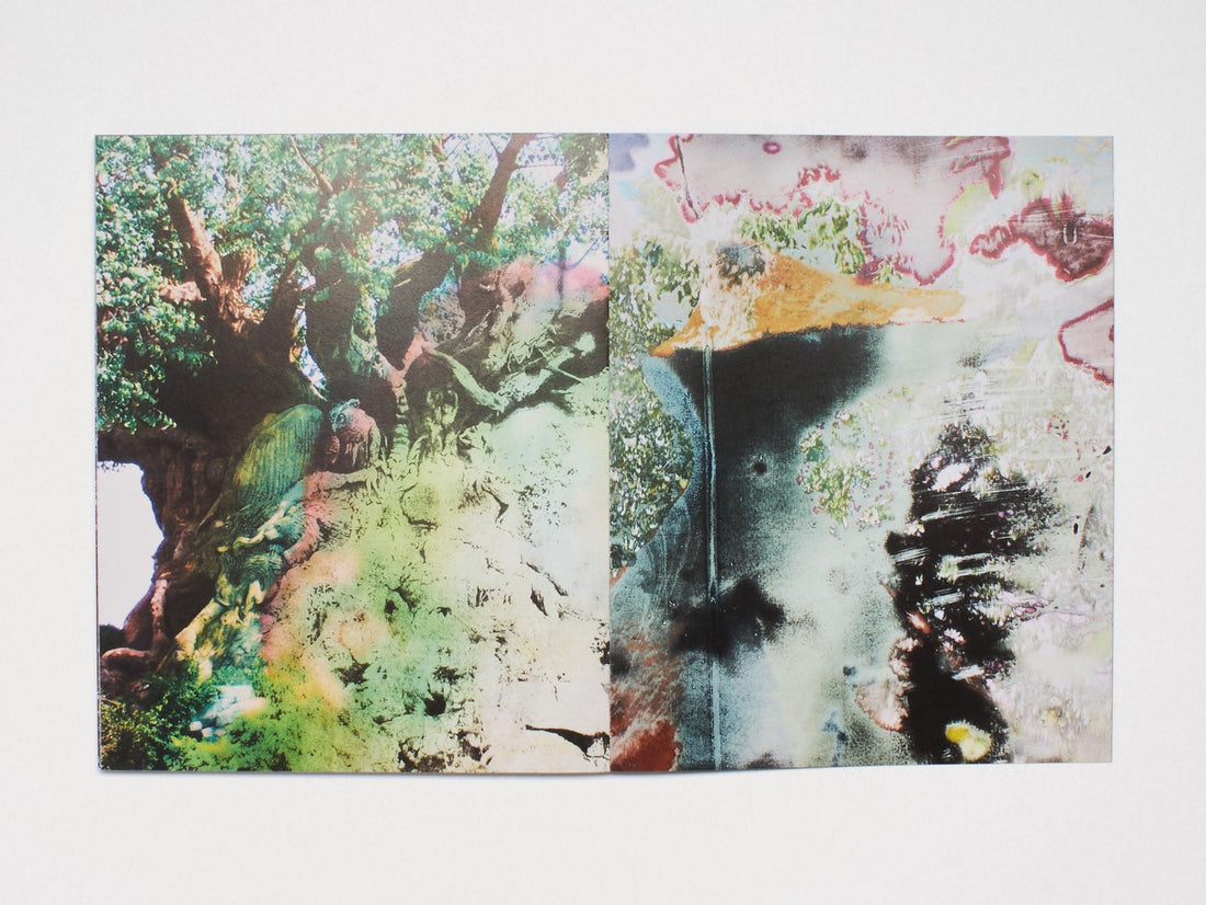 Kitengela - Antenne Books