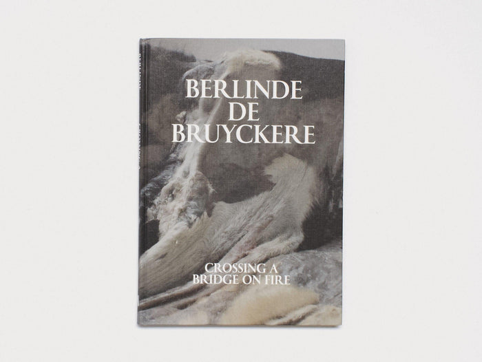 Crossing a Bridge on Fire - Antenne Books