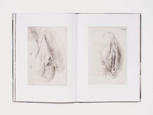 Crossing a Bridge on Fire - Antenne Books