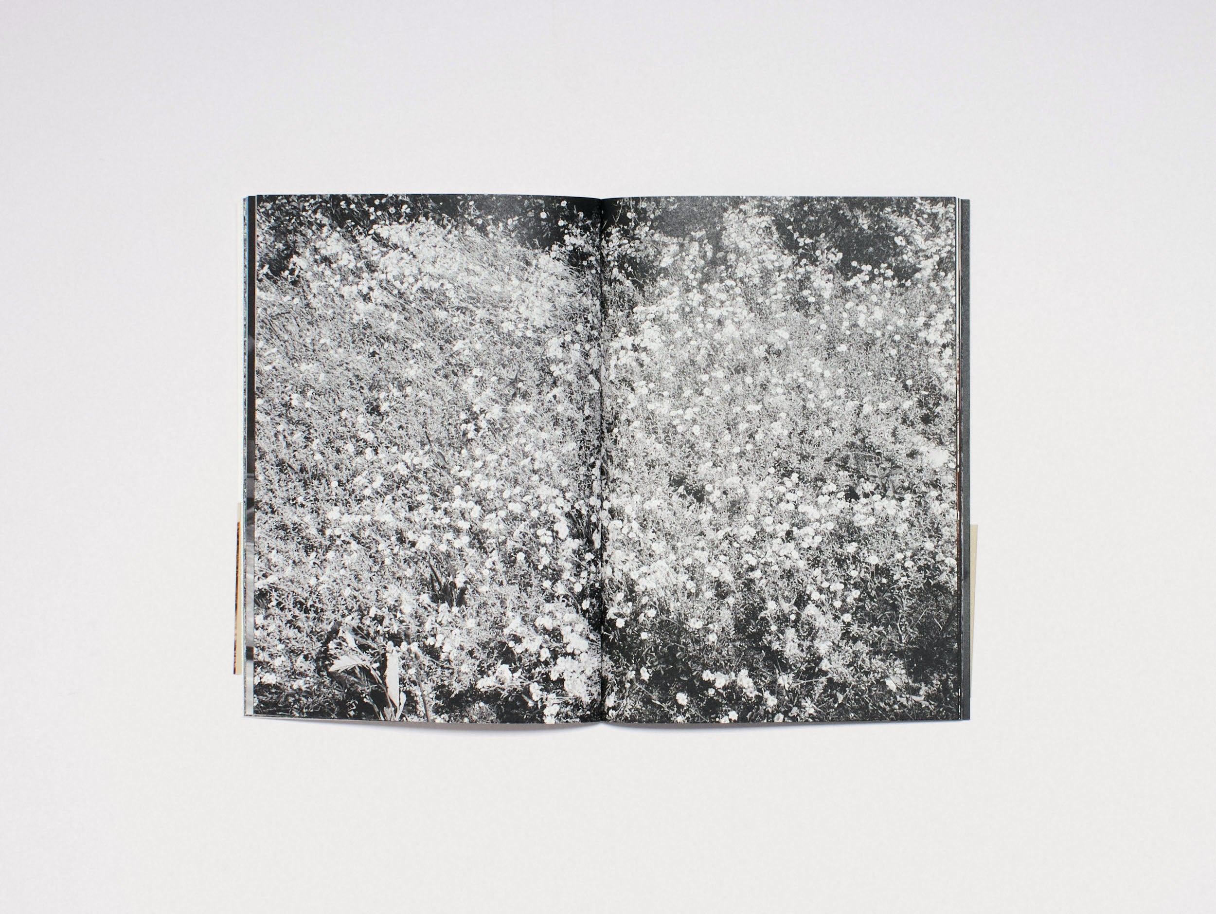 Lina Scheynius: Book 15 – Antenne Books