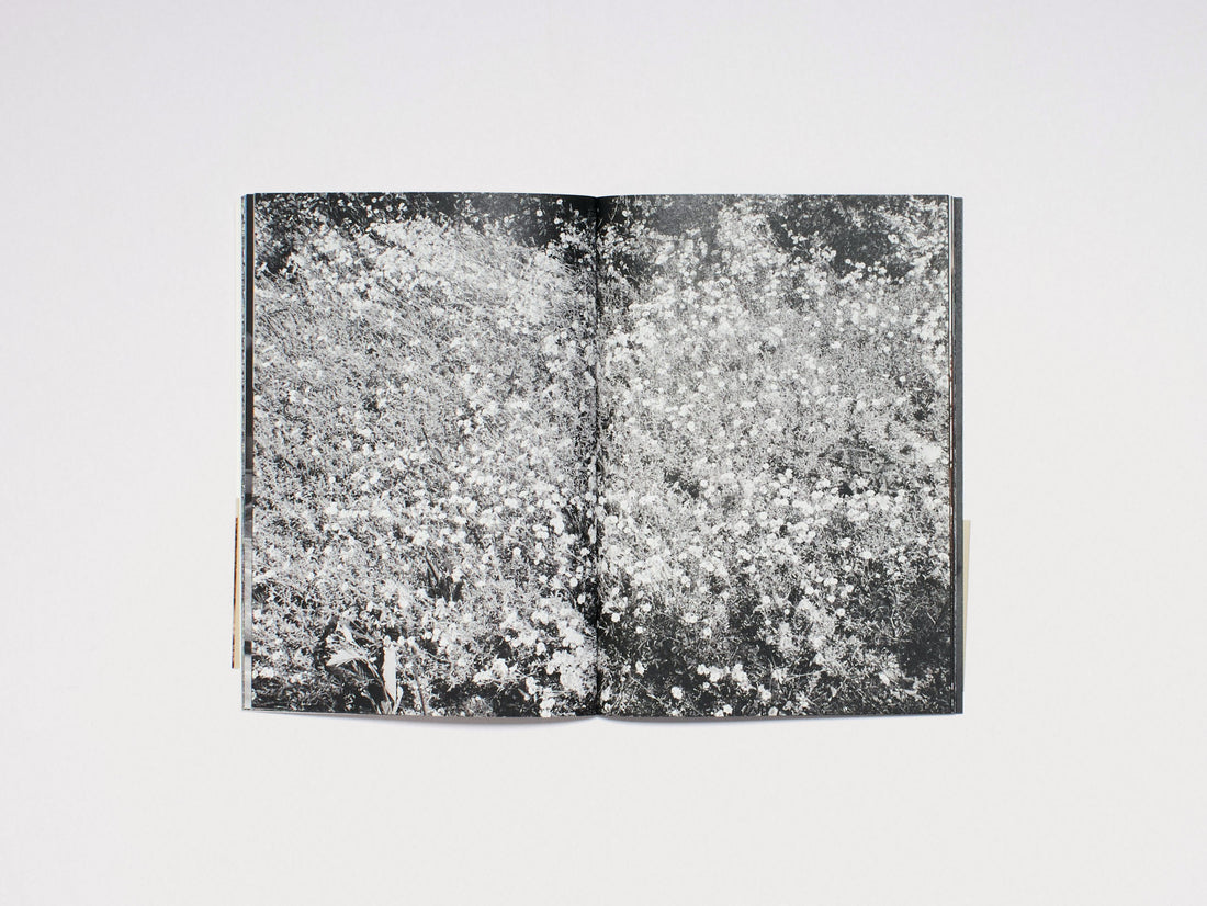 Lina Scheynius: Book 15