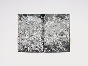 Lina Scheynius: Book 15