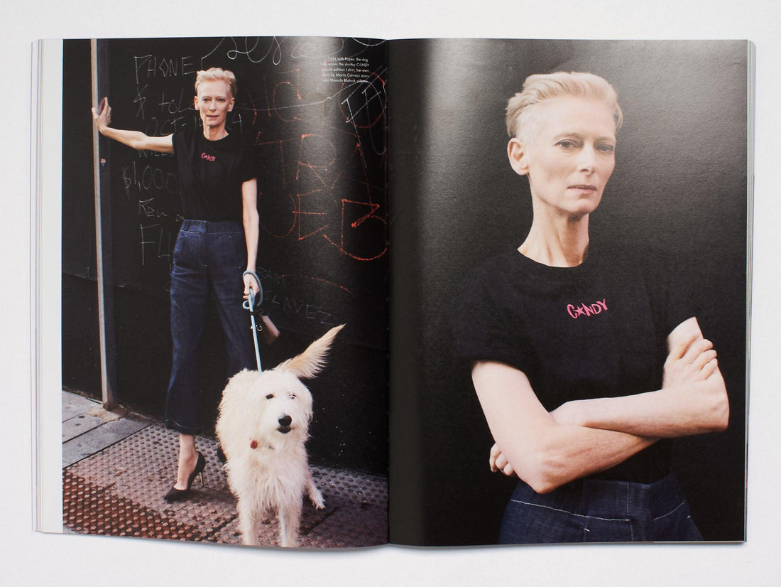 C☆NDY TRANSVERSAL 15 - Antenne Books