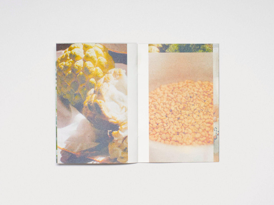 le passage - Antenne Books