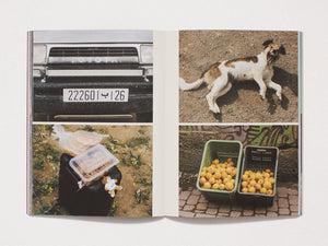 Dealer Issue 1
