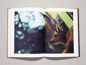 Self Image (Face) - Antenne Books