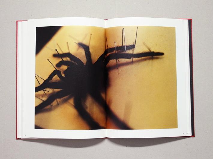 Self Image (Face) - Antenne Books