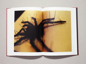 Self Image (Face) - Antenne Books