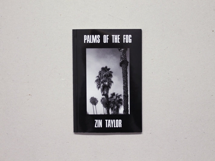Palms of the Fog