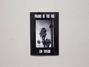 Palms of the Fog