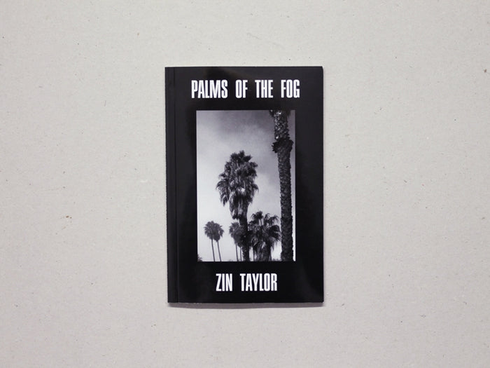 Palms of the Fog