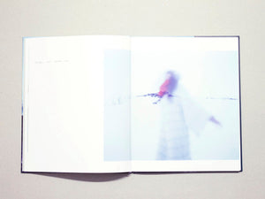 Whispering with Elves, Trolls and Hidden Folks