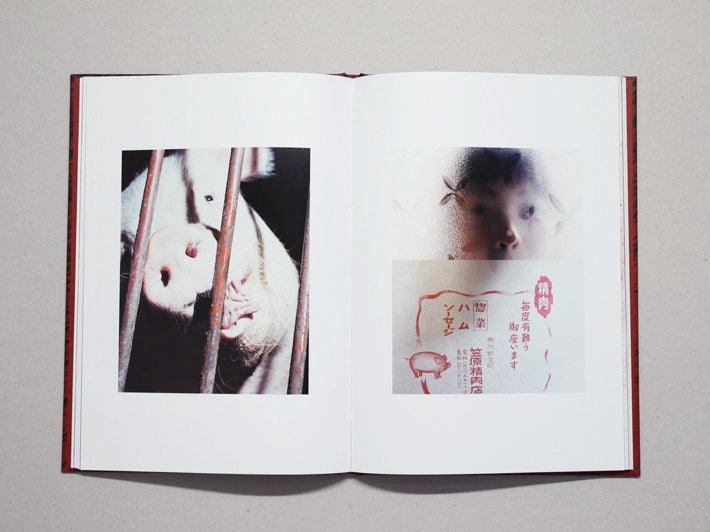 Hito - Antenne Books