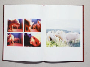 Hito - Antenne Books