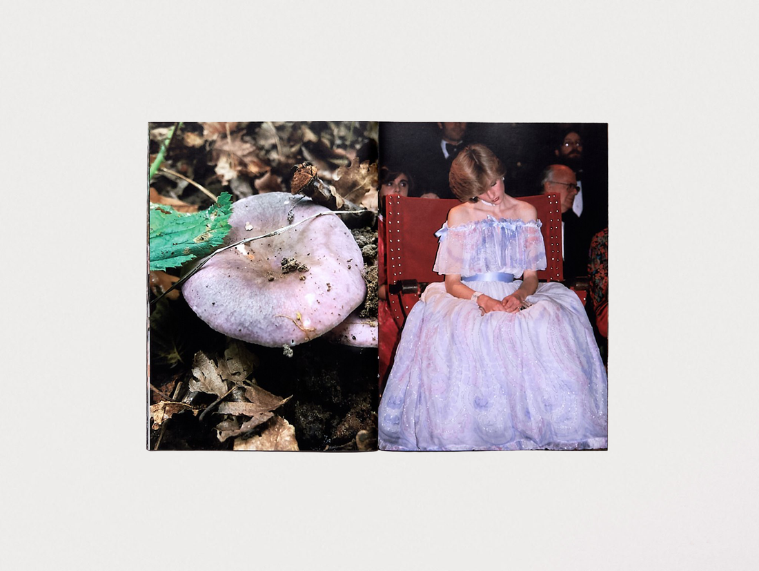 Princess Diana as Mushrooms Volume II